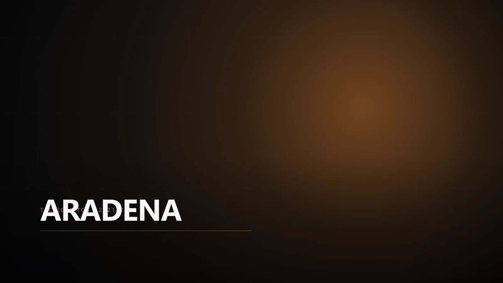 Aradena, Tactical TCG · Unity 3D · Steam